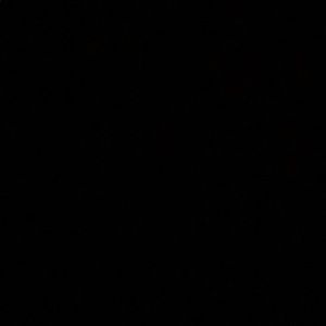 Meet your Posher, Walter